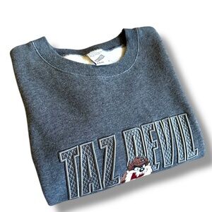 Looney Tunes Taz Devil Gray Sweatshirt